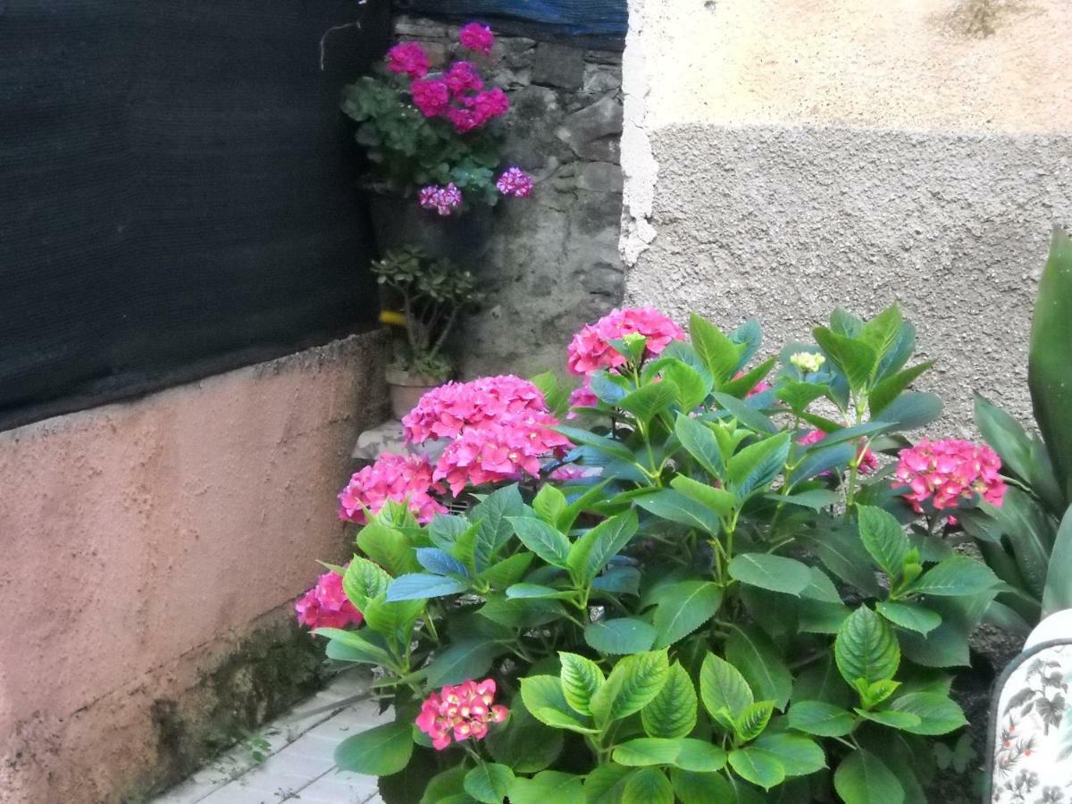 Stella Marina Delle 5 Terre Daire Levanto Dış mekan fotoğraf
